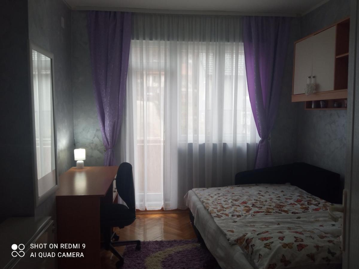 Apartman ,,Milica" Доньи-Милановац Экстерьер фото